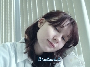 Breebaskett