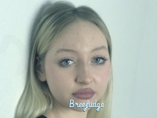 Breefudge