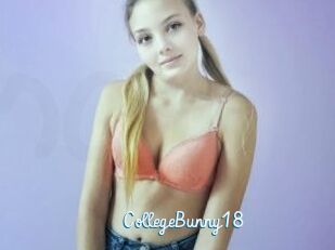CollegeBunny18