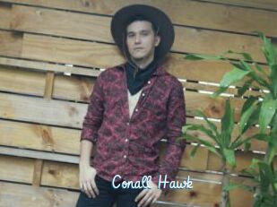 Conall_Hawk