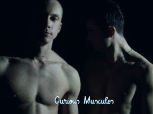 Curious_Muscules