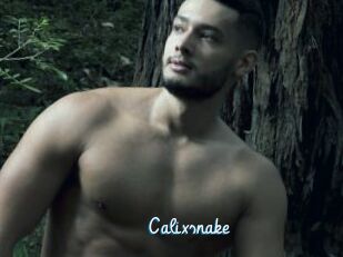 Calixsnake