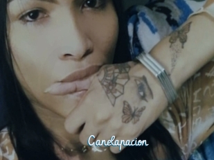 Canelapacion