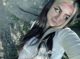 Cardigotto