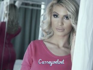 Casseyvelvet