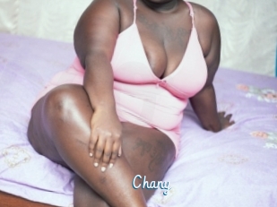 Chany
