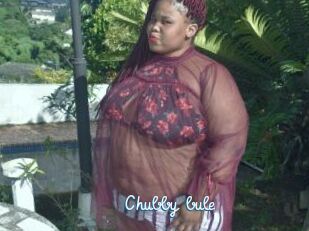 Chubby_bule