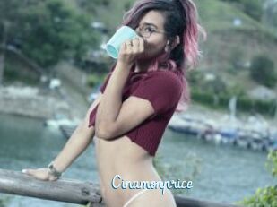 Cinamonprice