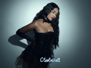 Cleobasett