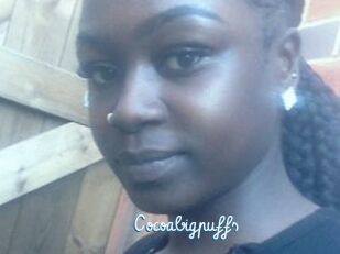 Cocoabigpuffs