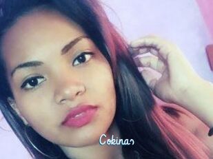 Cokinas