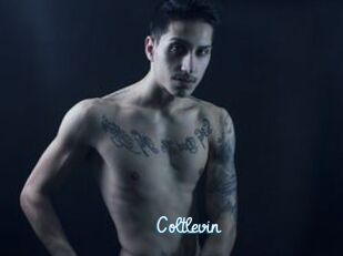 Coltlevin