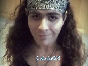 Cottontail28