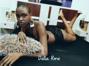 Dalia_Rose