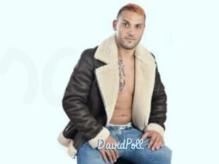 DavidPoll