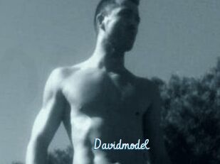 Davidmodel