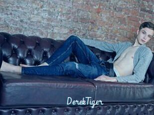 DerekTiger