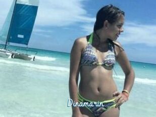 Dinamarin