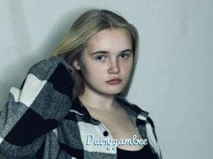 Daisygambee