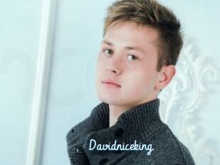 Davidniceking