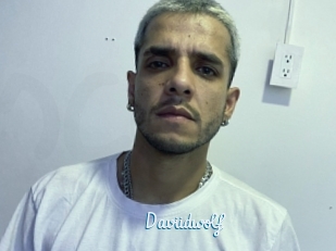 Daviidwolf