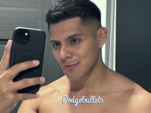 Dodgebullets