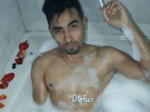 Dtorus