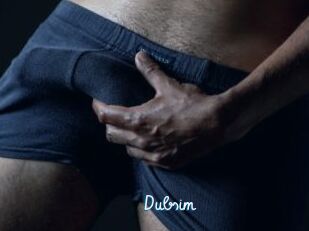 Dubsim