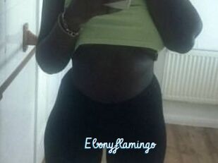 Ebony_flamingo