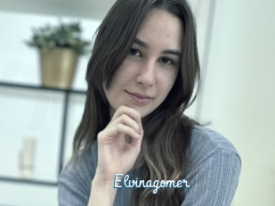 Elvinagomer