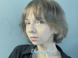 Elwinegallant