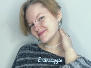 Erlinediggle