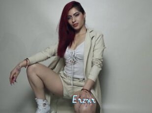 Erzsir