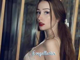 Evagallastar