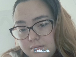 Eviedash