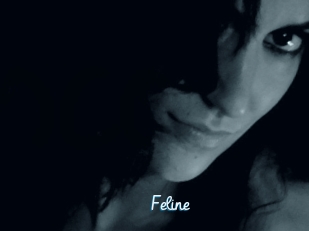 Feline