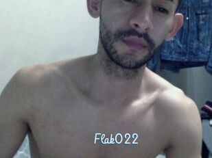Flak022
