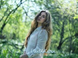 FlexibleKatrin