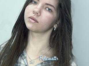 Felicecatts