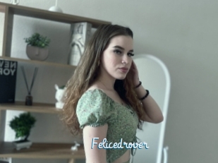 Felicedrover