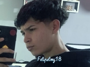 Felipeboy18