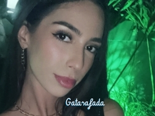 Gatasafada