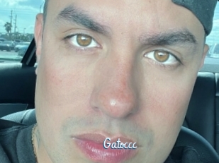 Gatoccc