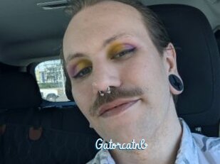 Gatorcatnb