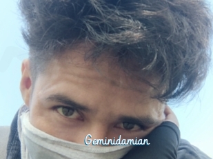 Geminidamian