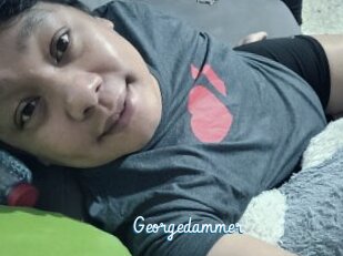 Georgedammer