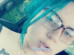 HareBunny