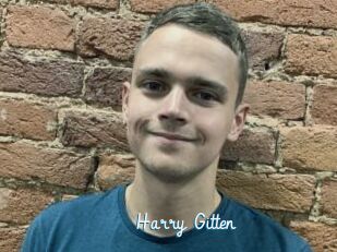 Harry_Gitten