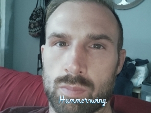 Hammerswing