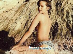 Hannaswanfei